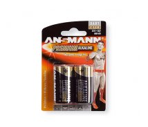 Premium Alkaline C Size Batteries - Pack