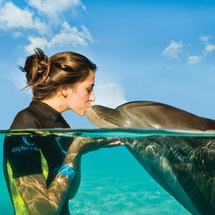 Dolphin Encounter at Dolphin Bay - High