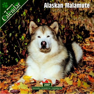 365 Calendars 2006 Alaskan Malamute calendar