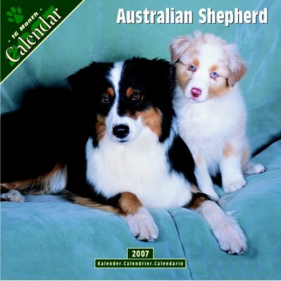 365 Calendars 2006 Australian Shepherd Dog 2006 Calendar