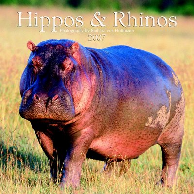 365 Calendars 2006 Hippos and Rhinos 2006 Calendar