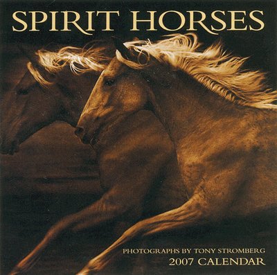 365 Calendars 2006 Spirit HorsesI 2006 Calendar