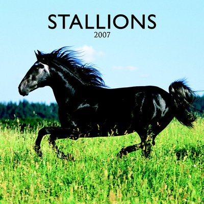 365 Calendars 2006 Stallions 2006 Calendar