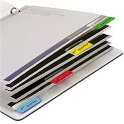 3L Index Tabs Repositionable Write-on Type-on