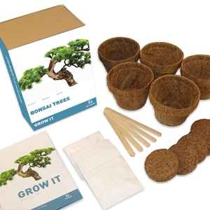 4 Bonsai Trees Grow It Kit