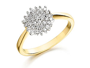 9ct gold and Diamond Cluster Ring 046018-L