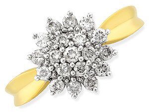 9ct gold and Diamond Cluster Ring 046062-J