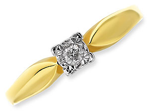 9ct gold and Diamond Ring 045221-J