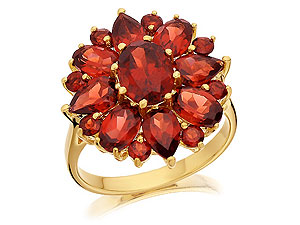 9ct Gold and Garnet Flower Cluster Ring 180908
