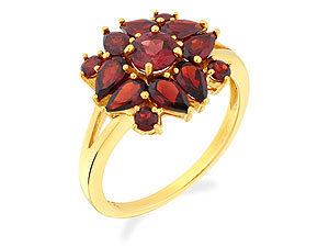 9ct gold and Garnet Ring 180317-R