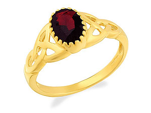 9ct gold and Garnet Ring 180318-M