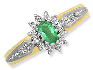 9ct gold Emerald and Diamond Cluster Ring 047631-R