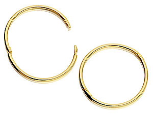 9ct Gold Hinged Hoop Earrings 15mm - 072474