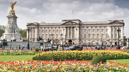 A Tour of Buckingham Palace and Afternoon Tea