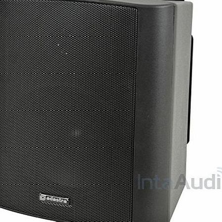 BP5V-B 100V 5.25`` background speaker black