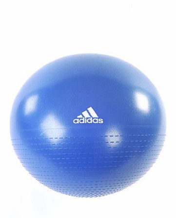  75cm Gym Ball - Blue