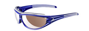 Adidas Evil Eye Pro L a126 sunglasses
