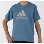 adidas Junior Essential Logo T-Shirt Rave Blue