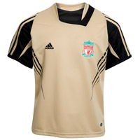 Adidas Liverpool UEFA Champions League Training Jersey