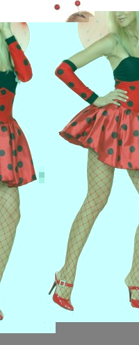 adult Costume: Lady Bug with Wings