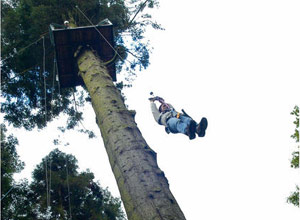 Adult high ropes adventure course