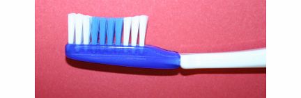 adult Toothbrush Heads (Medium)