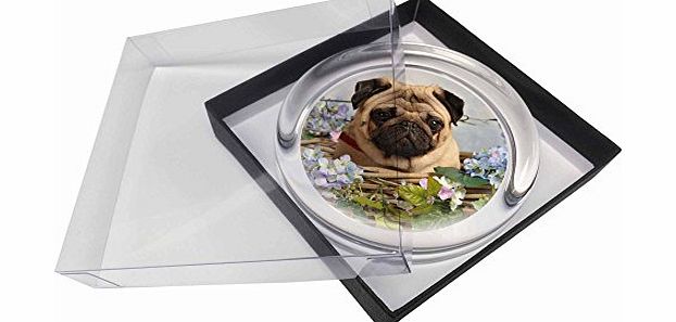 Advanta - Paper Weights1 Fawn Pug Dog in a Basket Glass Paperweight in Gift Box