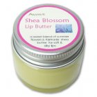 Shea Blossom Lip Butter