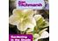 Alan Titchmarsh How to Garden: Gardening in the