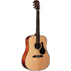 RD8 Dreadnought With Free Hard Case (Natural)