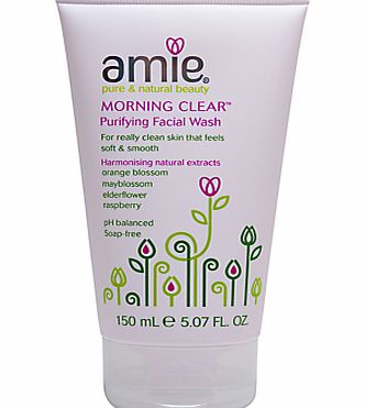 Amie MORNING CLEAR PURIFYING FACIAL WASH 150ML