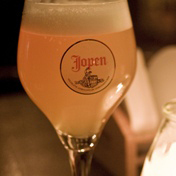 Amsterdam Beer Tour - Small Group Tour - Adult