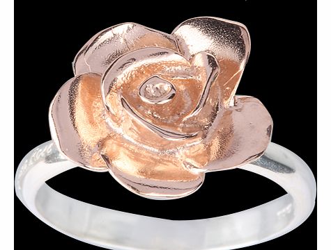 Amulette English Rose Engraved Ring - Ring Size L