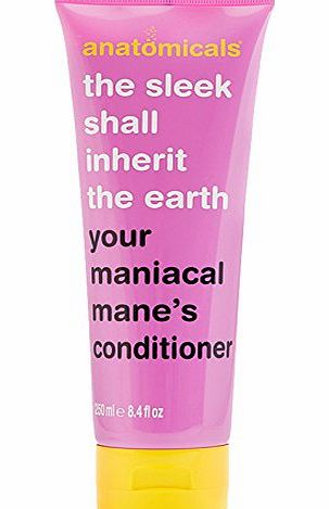 Anatomicals Hair Conditioner, Sleek Shall Inherit The Earth 250 ml