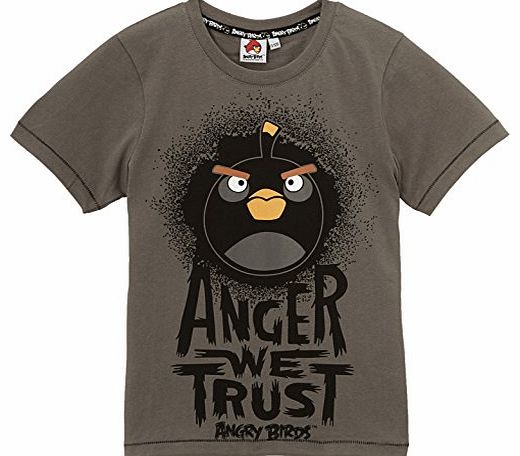 Angry Birds  Boys 44ABSOG102 T-Shirt, Grey, 12 Years
