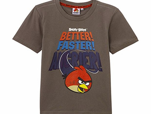 Angry Birds  Boys 44ABSOG111 T-Shirt, Grey, 12 Years