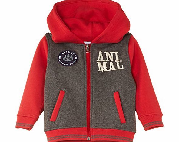Animal Boys Shrip Hoodie, Red (Tomato), 13 Years (Manufacturer Size:Large)