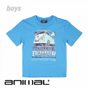 Animal T-Shirts - Animal Hoky T-Shirt - Blue Jay