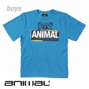 Animal T-Shirts - Animal Howie T-Shirt - Blue Jay