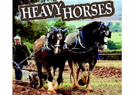 Animals Heavy Horses 2006 Calendar