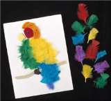 Coloured Craft Feathers Pack