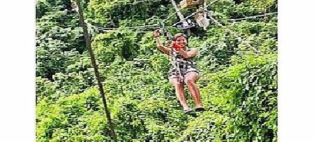 Antigua Rainforest Canopy Adventure - Child