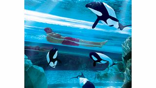 Aquatica 3-Park SeaWorld Aquatica and Busch Gardens Ticket