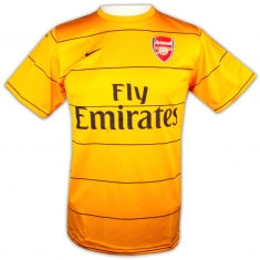 Arsenal Nike 08-09 Arsenal Training Jersey (yellow)