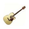 D55SCEQ Solid Top Electro-Acoustic