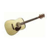 Ashton Music D65S Solid Top Acoustic Guitar