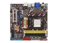asus M3A78-EM - motherboard - micro ATX - AMD 780G