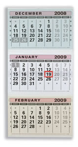 2008 Wall Calendar Tear-off Pages