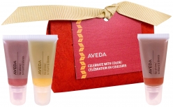 Aveda Haircare AVEDA CELEBRATE WITH COLOUR GIFT SET (3 PRODUCTS)