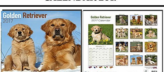 AVONSIDE GOLDEN RETRIEVER DOGS CALENDAR 2017